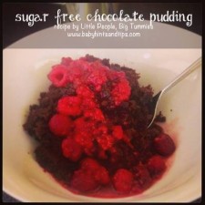 Sugar Free Chocolate Pudding